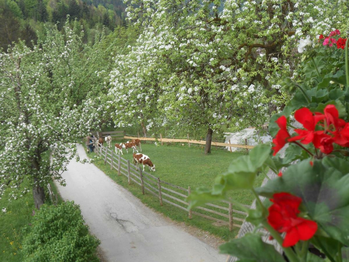 Bio-Bauernhof "Hecherhof" Thiersee Exterior photo